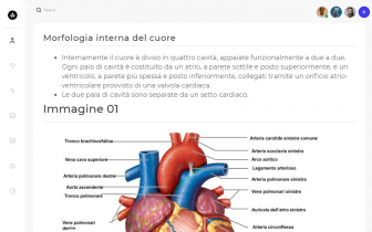 enciclopedia enciclopedia